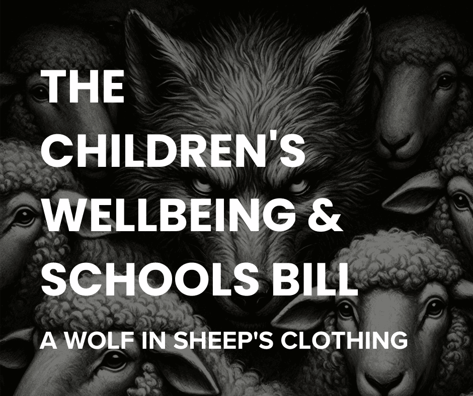 The Children’s Wellbeing and Schools Bill: A Wolf in Sheep’s Clothing